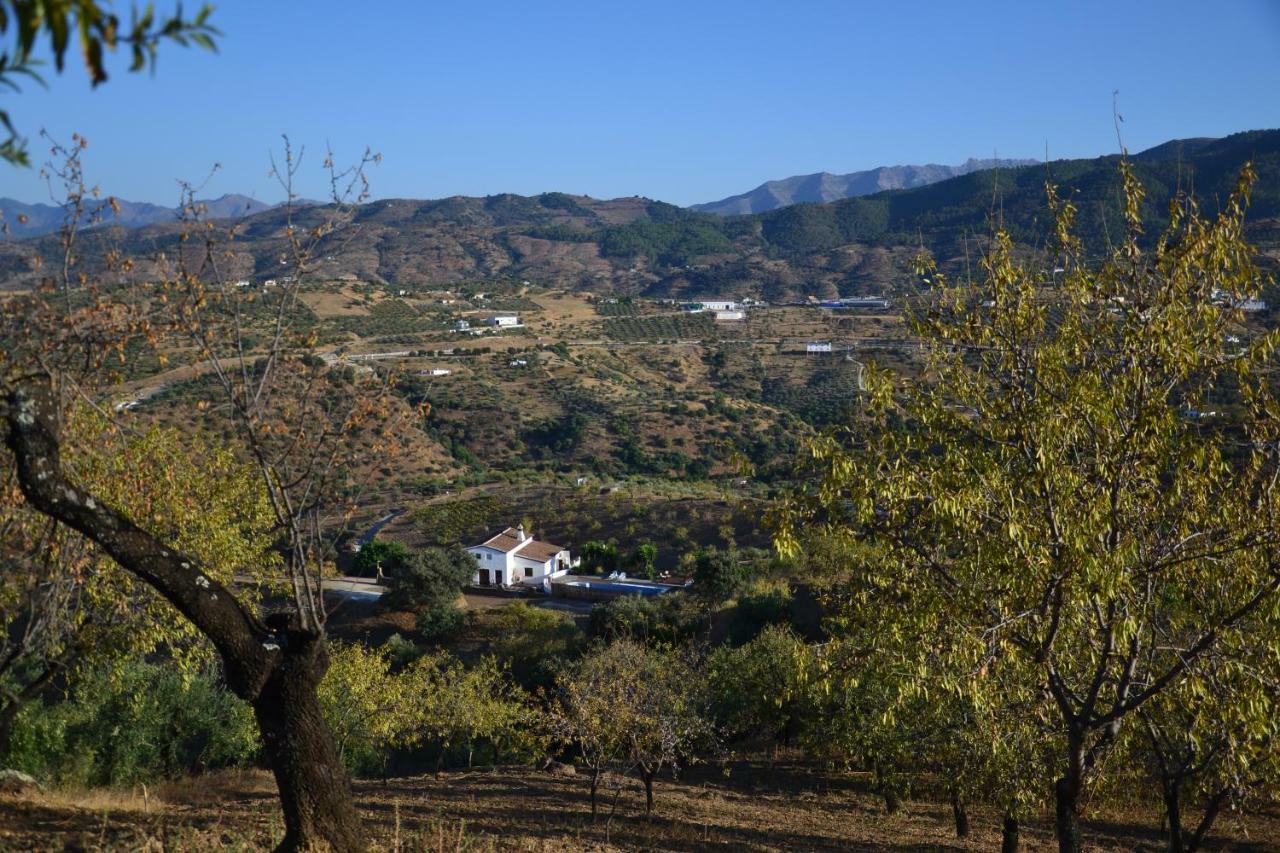 The African House Bed and Breakfast Tolox Esterno foto
