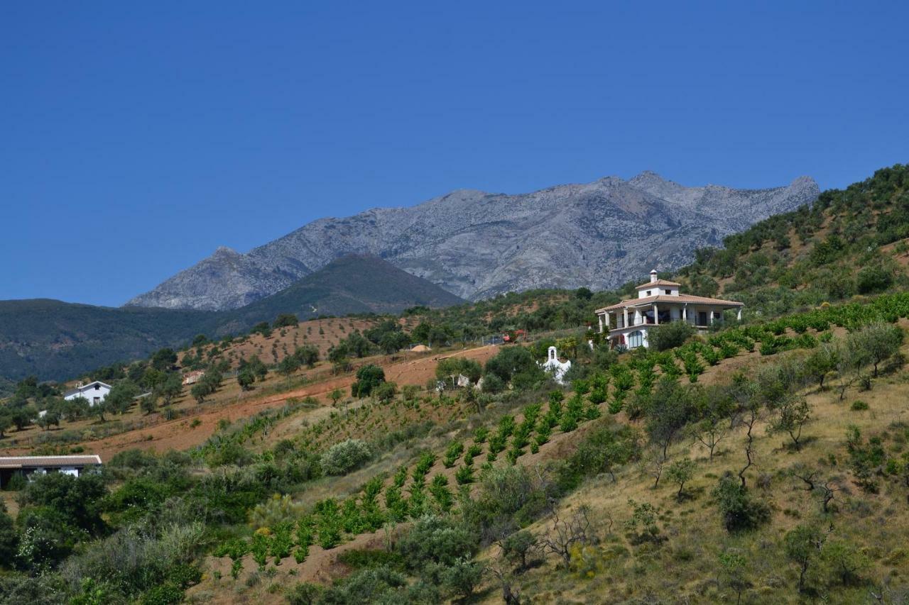 The African House Bed and Breakfast Tolox Esterno foto